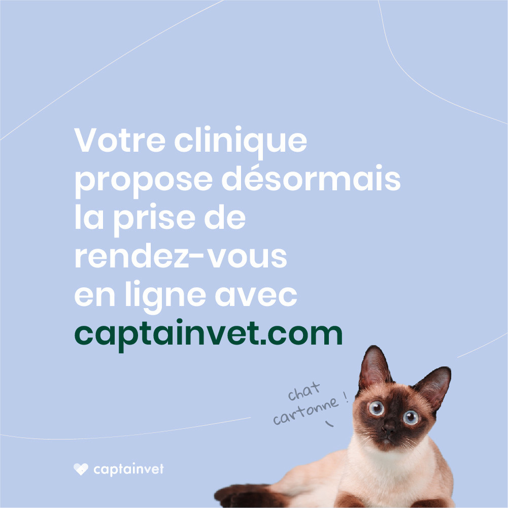 AVEC CAPTAINVET PRENEZ RENDEZ-VOUS EN LIGNE !